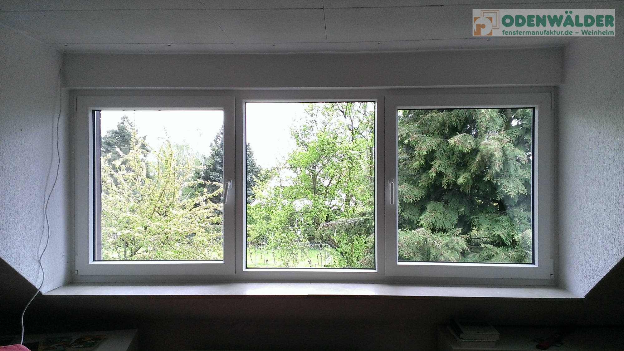 ODENWÄLDER Fenster